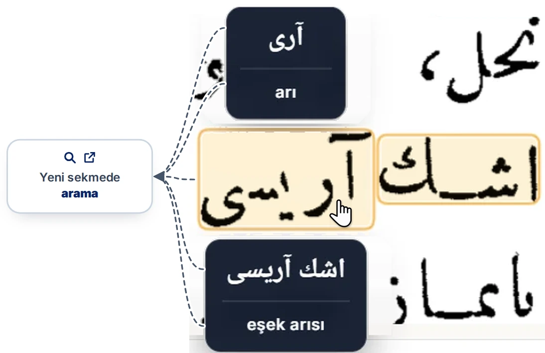 Taramadaki kelime ile üstte ve altta beliren kutuların Osmanlıca ve Latin satırları; beşinden çıkan oklar Yeni sekmede arama kartında birleşiyor