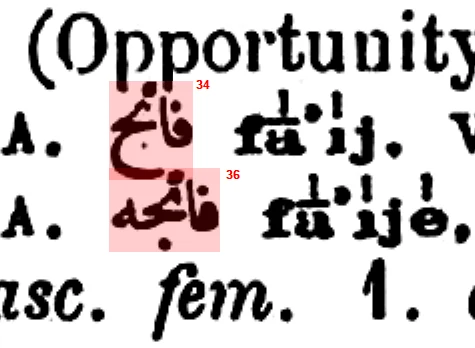 A close view showing precise rectangular selection around an Ottoman word.