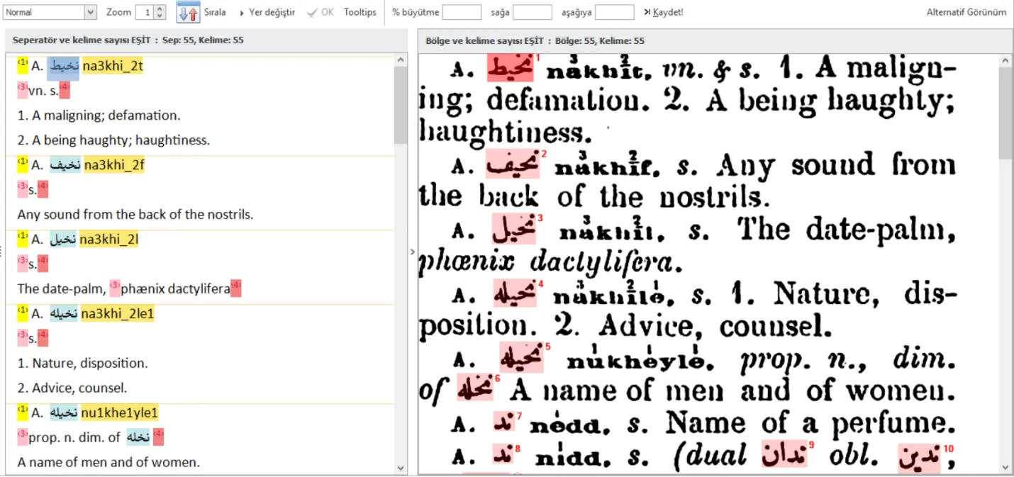 A processed dictionary column with all Ottoman word regions selected and indexed.