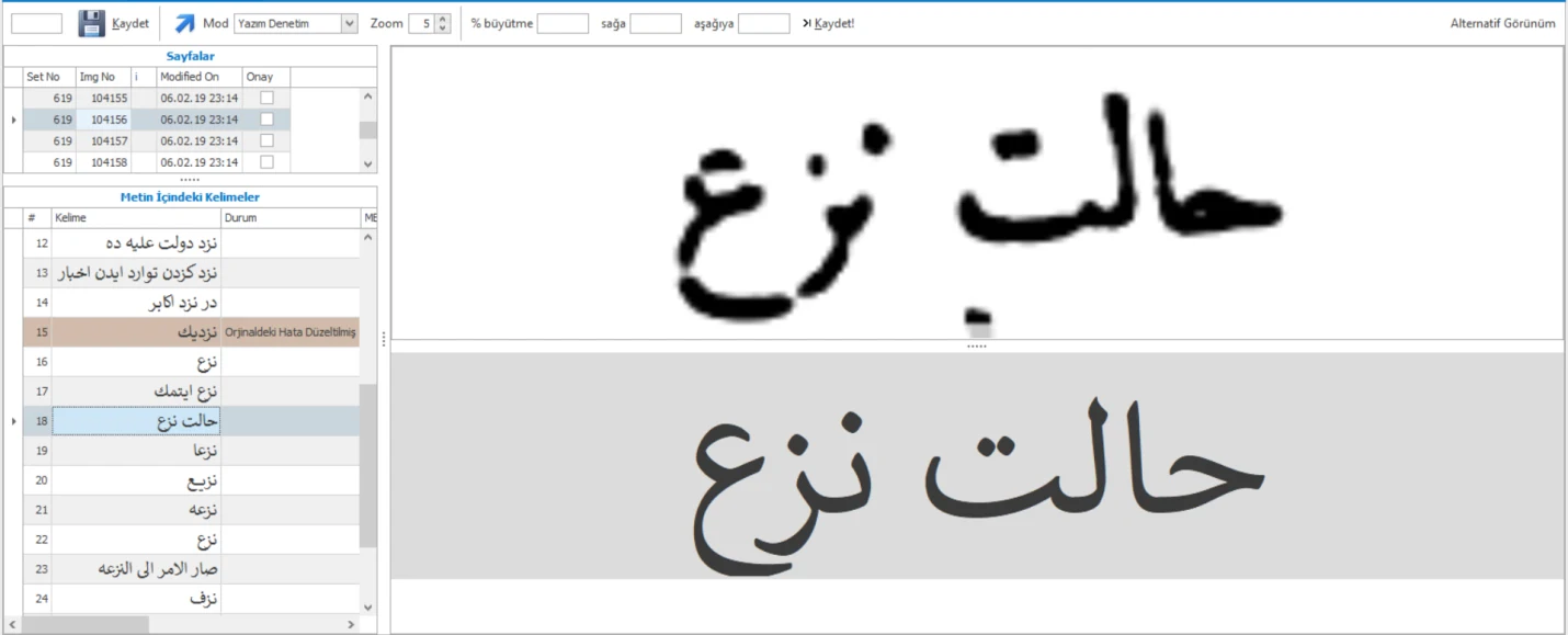The Orthographical Audit interface used to verify Ottoman words individually.