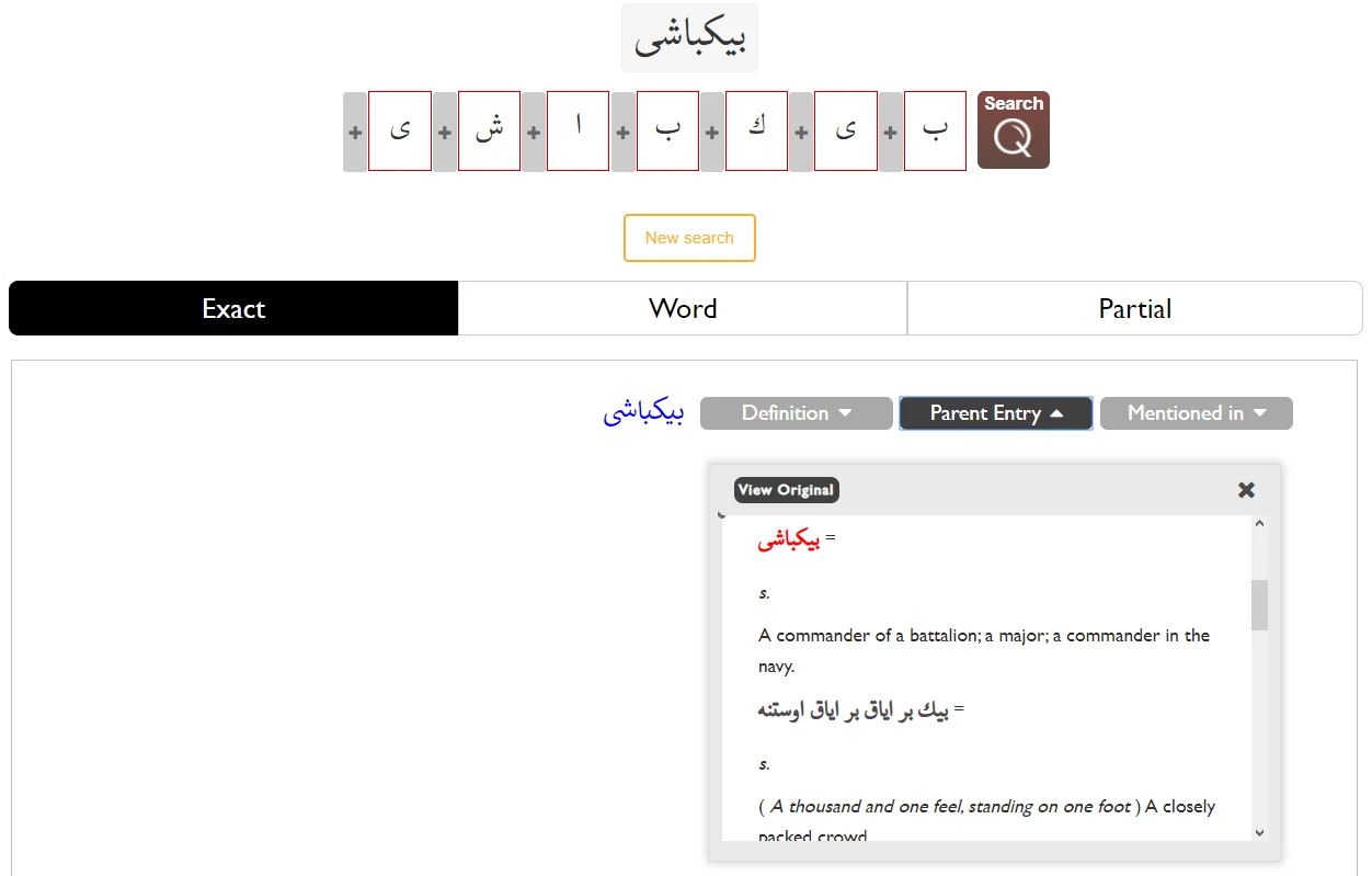 A Parent Entry panel showing the main entry for a sub-entry result.